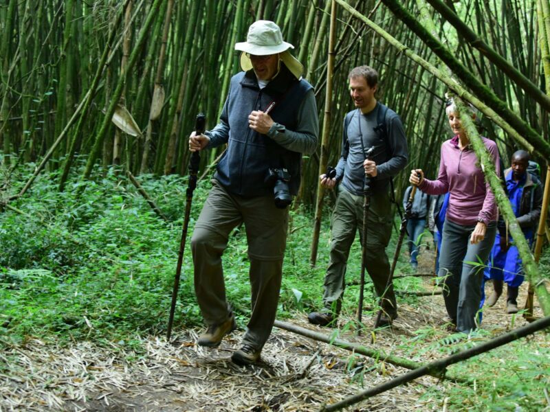 Is Rhino Tracking Safe in Ziwa Rhino Sanctuary? 
